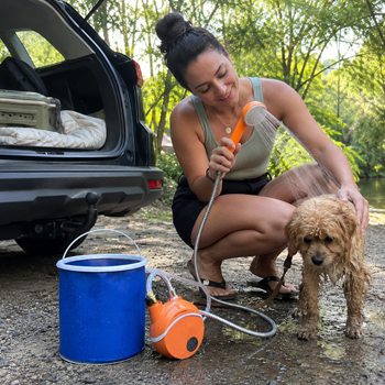 Washing a dog with AquaTrail